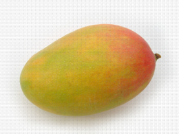 Mangue, spécimen sans défaut